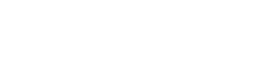 Meneguz